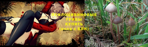 jwh Дмитриев